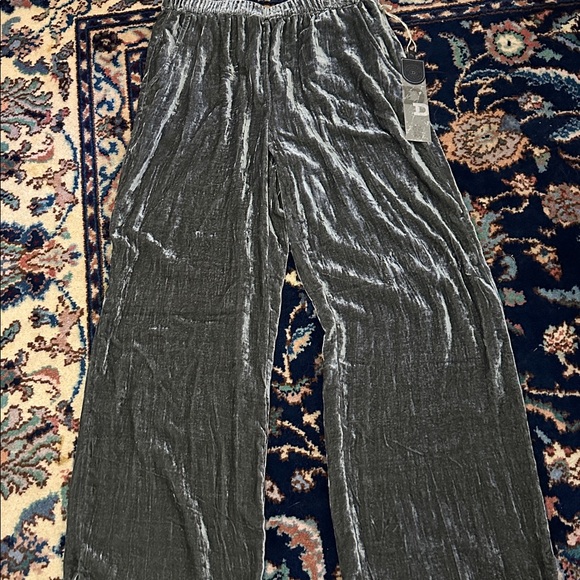 NWT Double D Ranch Velvet Pants in Silvered Sleigh - Picture 3 of 11
